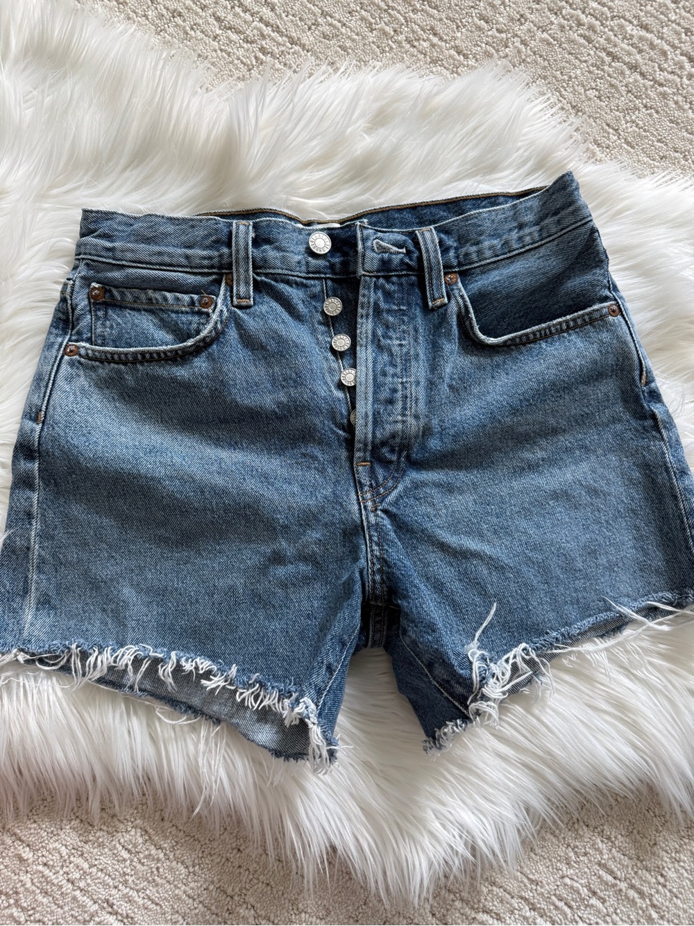 AGOLDE Parker Long Shorts in Skywave